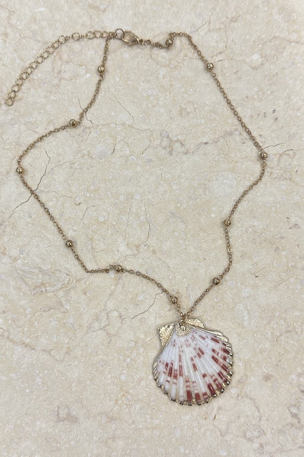 Alejandra Scallop Shell Necklace Gold