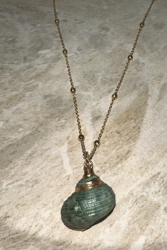 Sariyah Turquoise Spiral Shell Necklace Gold