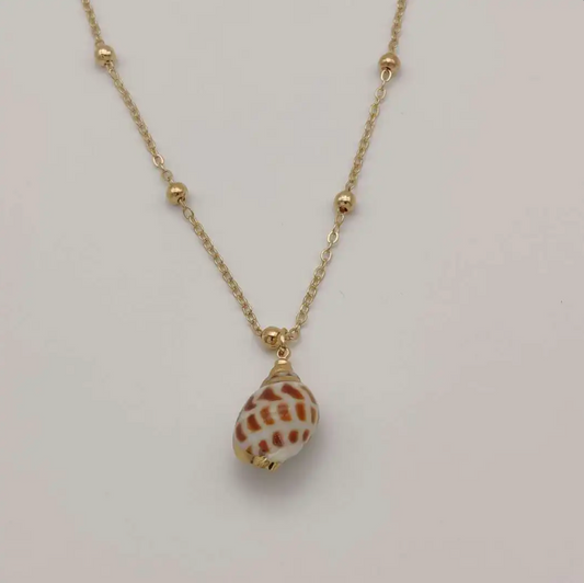 Sienna Conch Shell Necklace Gold