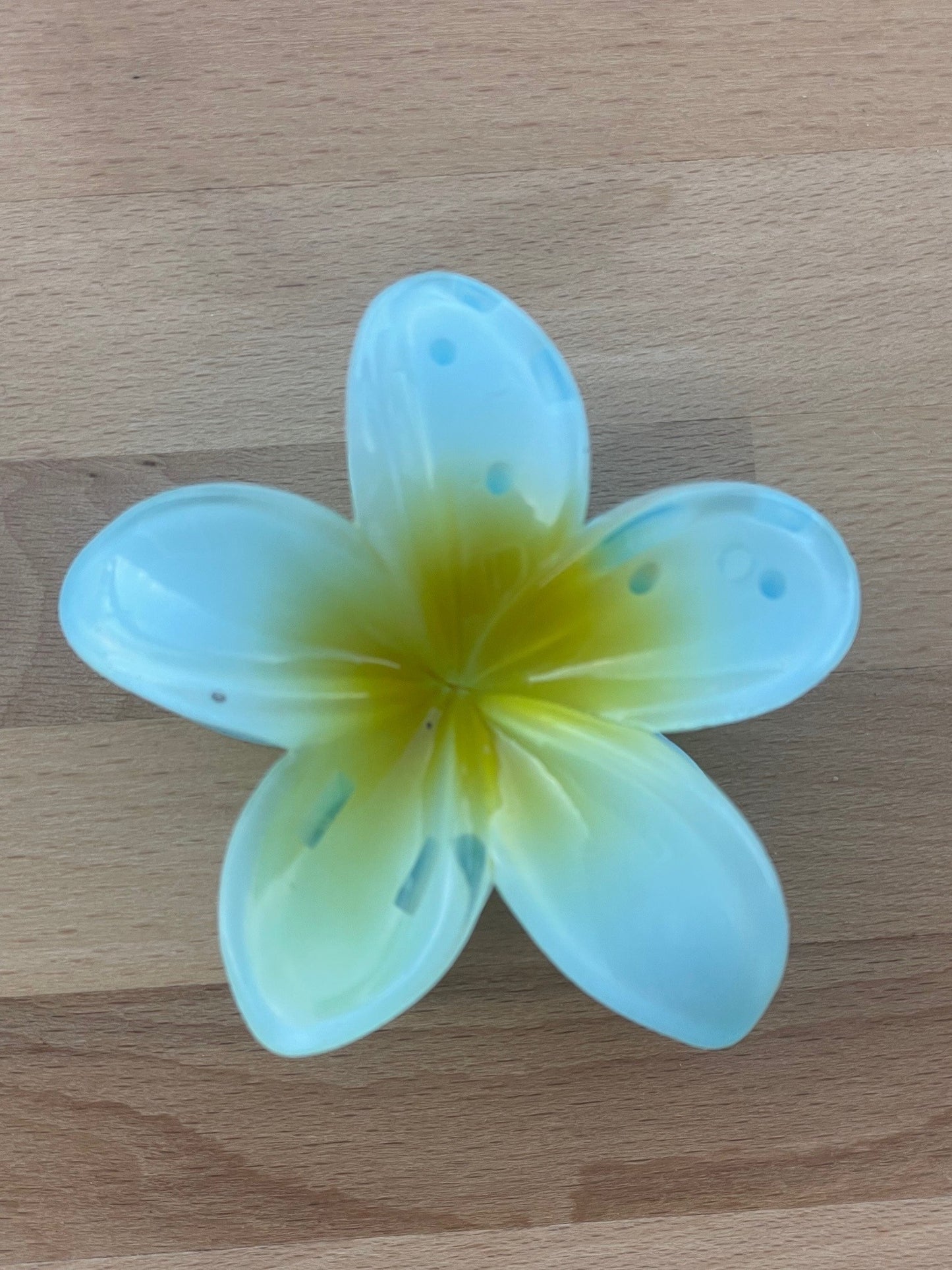 frangipani hair claw